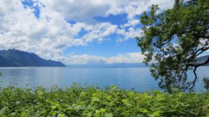 Croisiere Sportive Lac Leman